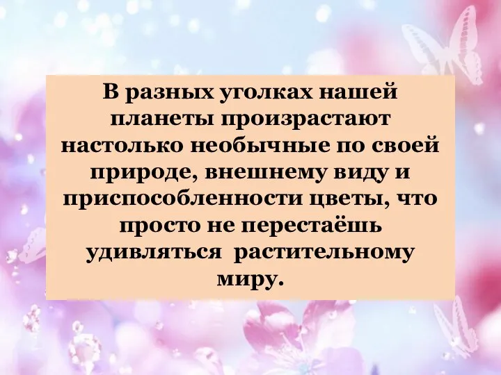 В разных уголках нашей планеты произрастают настолько необычные по своей природе,