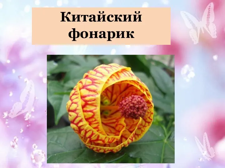 Китайский фонарик