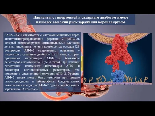 Пациенты с гипертонией и сахарным диабетом имеют наиболее высокий риск заражения