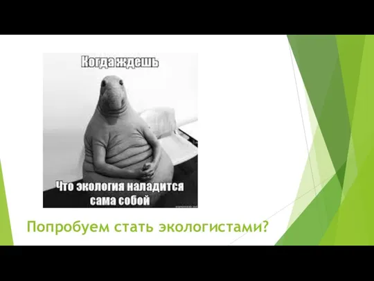 Попробуем стать экологистами?