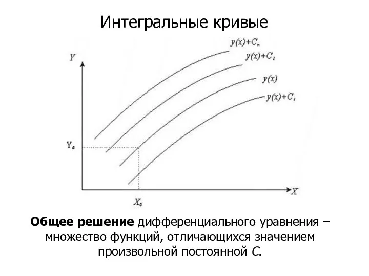 Интегральные кривые Общее решение дифференциального уравнения – множество функций, отличающихся значением произвольной постоянной C.