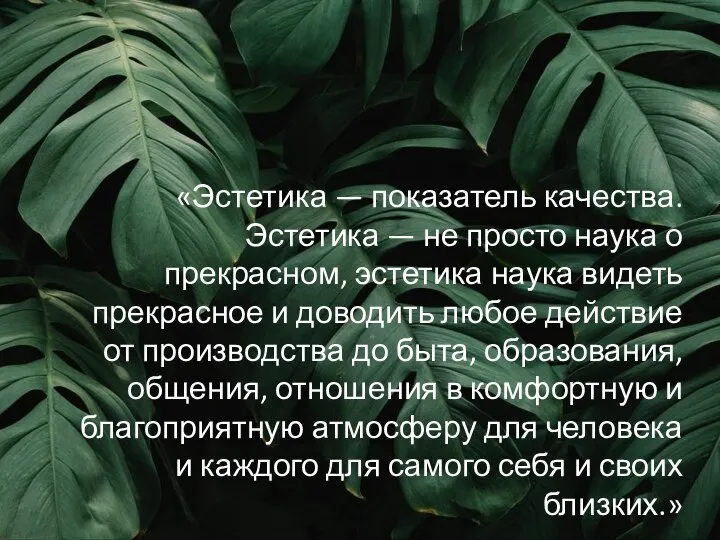 «Эстетика — показатель качества. Эстетика — не просто наука о прекрасном,