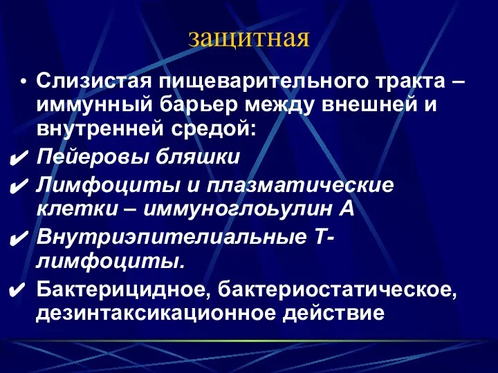 защитная Слизистая пищеварительного тракта – иммунный барьер между внешней и внутренней