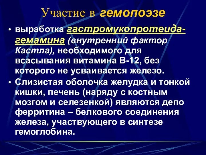 Участие в гемопоэзе выработка гастромукопротеида-гемамина (внутренний фактор Кастла), необходимого для всасывания