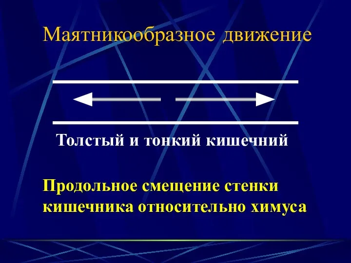 Маятникообразное движение Толстый и тонкий кишечний Продольное смещение стенки кишечника относительно химуса