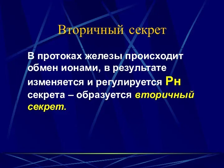 Вторичный секрет В протоках железы происходит обмен ионами, в результате изменяется