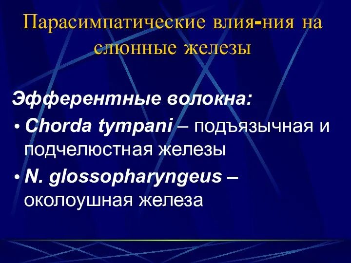 Парасимпатические влия-ния на слюнные железы Эфферентные волокна: Chorda tympani – подъязычная