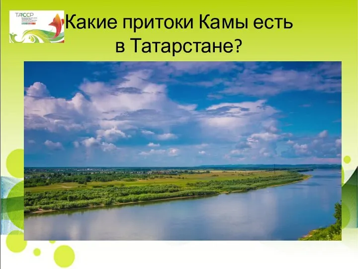 Какие притоки Камы есть в Татарстане?