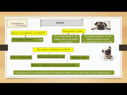 УХАЖИВАТЬ ЗА ДОМАШНИМ ПИТОМЦЕМ УМЕЮТ ВСЕ ДРУЗЬЯ И РОДСТВЕННИКИ ОПРОС участвовало