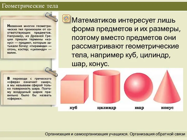 Организация и самоорганизация учащихся. Организация обратной связи Геометрические тела Математиков интересует