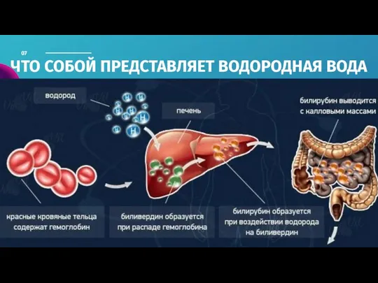 ЧТО СОБОЙ ПРЕДСТАВЛЯЕТ ВОДОРОДНАЯ ВОДА