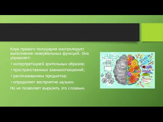 Кора правого полушария контролирует выполнение невербальных функций. Она управляет: интерпретацией зрительных