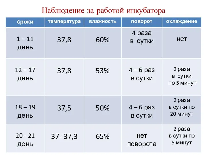 Наблюдение за работой инкубатора