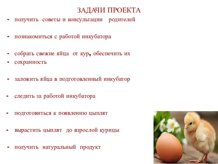 ЗАДАЧИ ПРОЕКТА получить советы и консультации родителей познакомиться с работой инкубатора