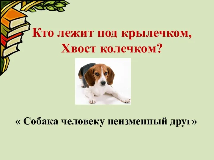 Кто лежит под крылечком, Хвост колечком? « Собака человеку неизменный друг»