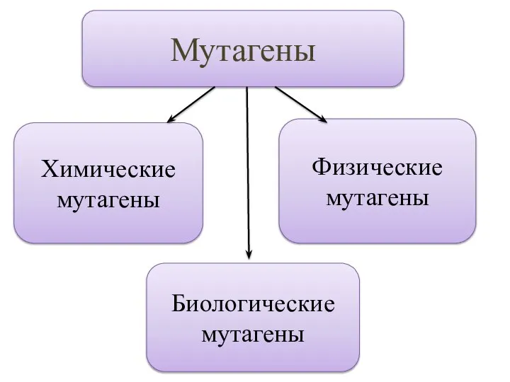 Мутагены Химические мутагены Физические мутагены Биологические мутагены