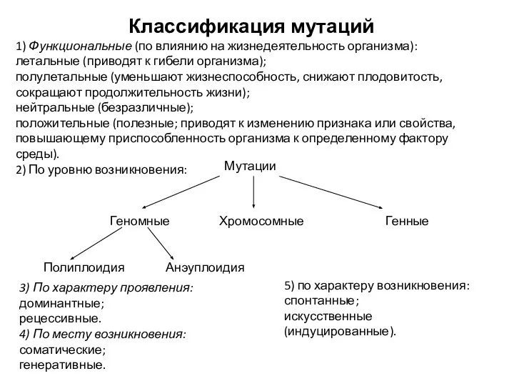 Геномные Хромосомные Генные Полиплоидия Анэуплоидия Классификация мутаций 1) Функциональные (по влиянию