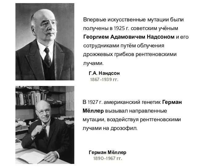 Г.А. Нандсон 1867–1939 гг. Впервые искусственные мутации были получены в 1925