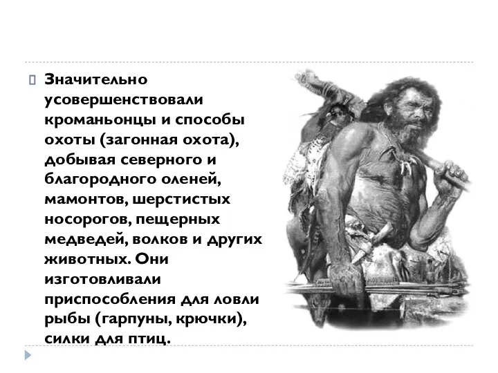 Значительно усовершенствовали кроманьонцы и способы охоты (загонная охота), добывая северного и