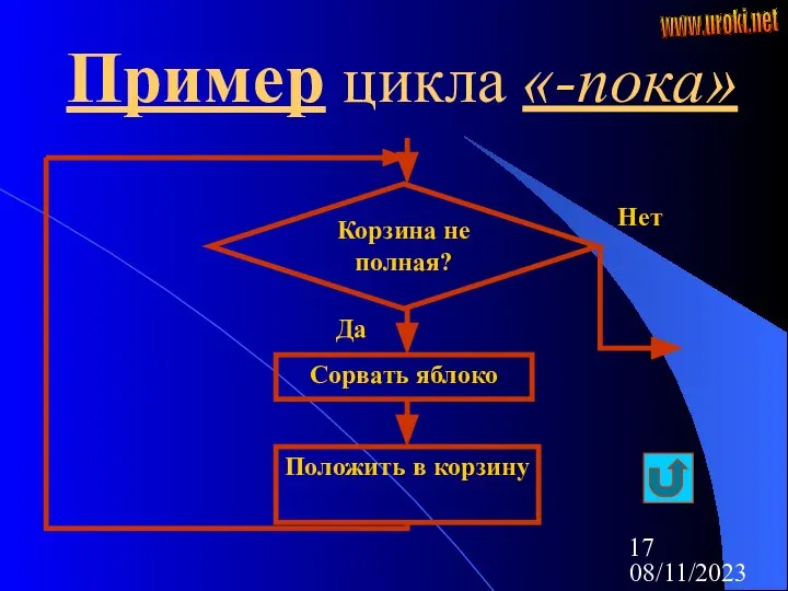 08/11/2023 Пример цикла «-пока» Корзина не полная? Нет Сорвать яблоко Да Положить в корзину www.uroki.net