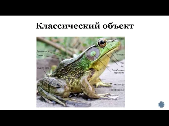 Классический объект