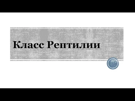 Класс Рептилии