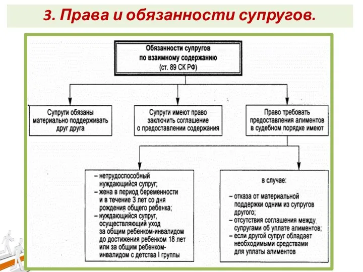 3. Права и обязанности супругов.