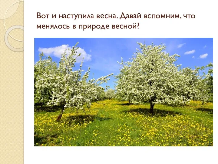 Вот и наступила весна. Давай вспомним, что менялось в природе весной?