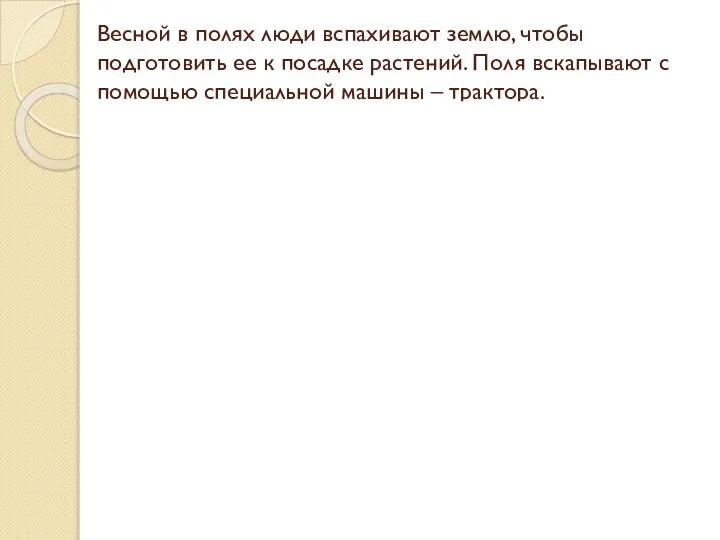 Весной в полях люди вспахивают землю, чтобы подготовить ее к посадке