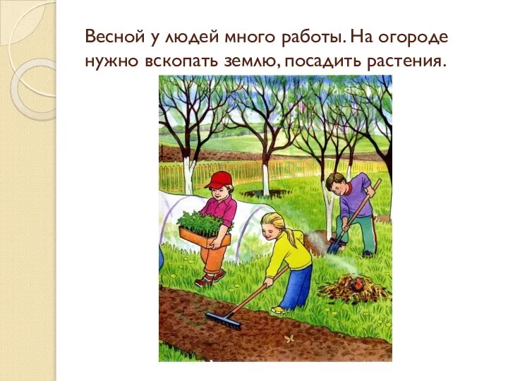 Весной у людей много работы. На огороде нужно вскопать землю, посадить растения.