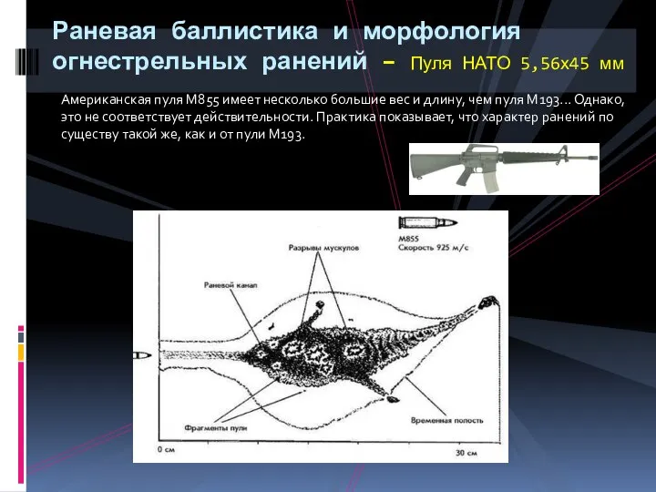 Американская пуля М855 имеет несколько большие вес и длину, чем пуля