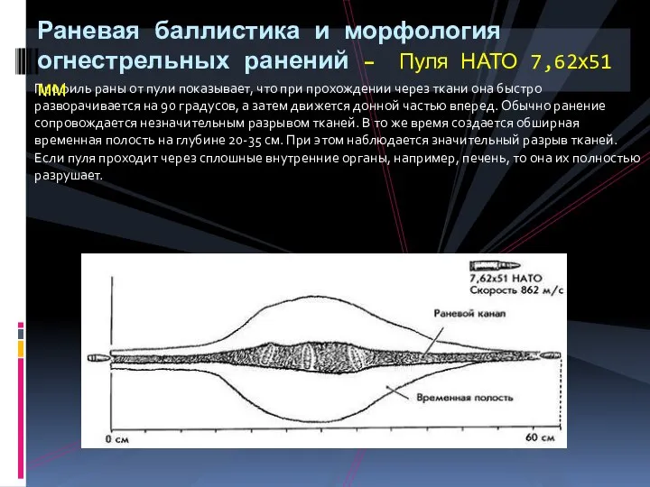 Профиль раны от пули показывает, что при прохождении через ткани она