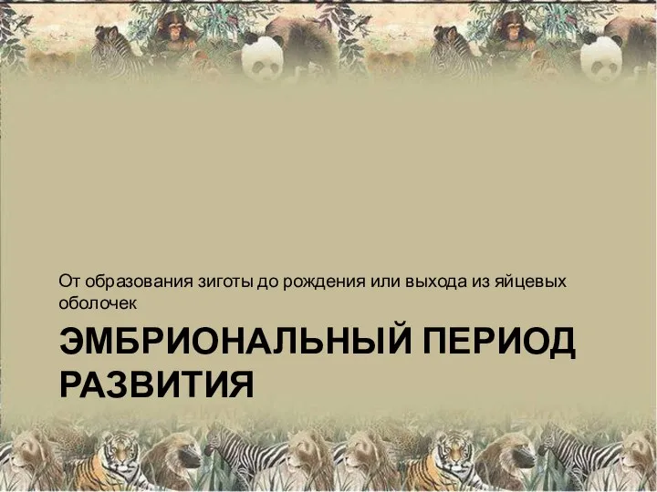 ЭМБРИОНАЛЬНЫЙ ПЕРИОД РАЗВИТИЯ От образования зиготы до рождения или выхода из яйцевых оболочек