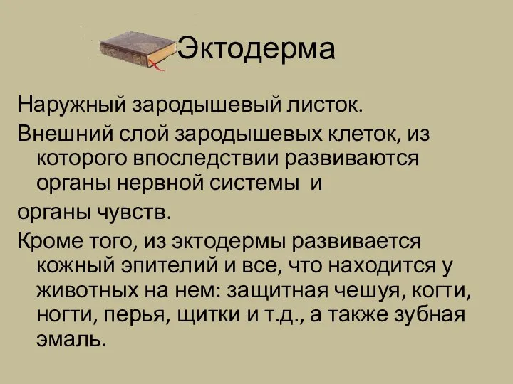 Эктодерма Наружный зародышевый листок. Внешний слой зародышевых клеток, из которого впоследствии