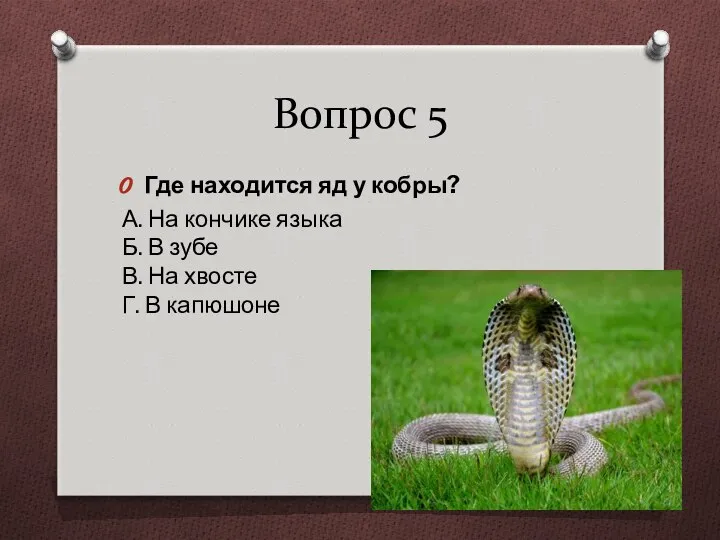 Вопрос 5 Где находится яд у кобры? А. На кончике языка