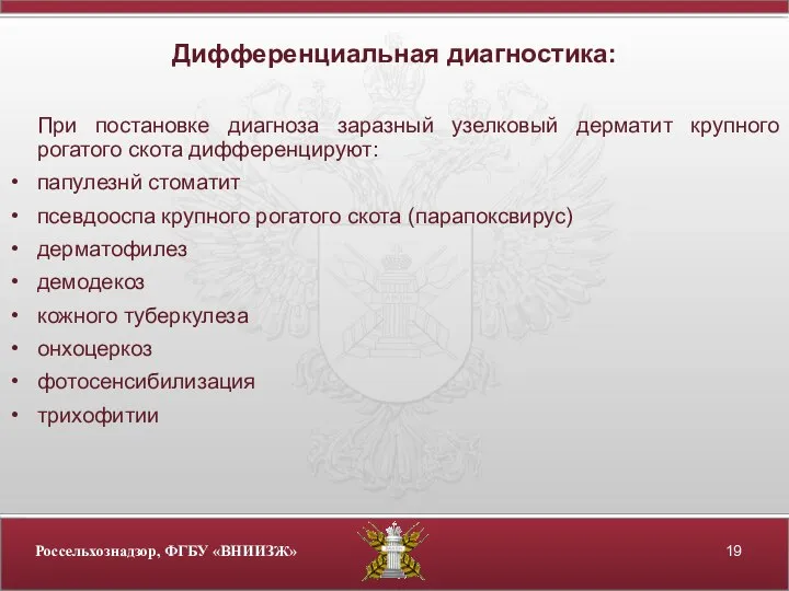 Дифференциальная диагностика: При постановке диагноза заразный узелковый дерматит крупного рогатого скота