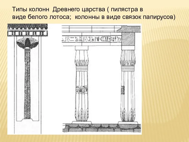 Типы колонн Древнего царства ( пилястра в виде белого лотоса; колонны в виде связок папирусов)