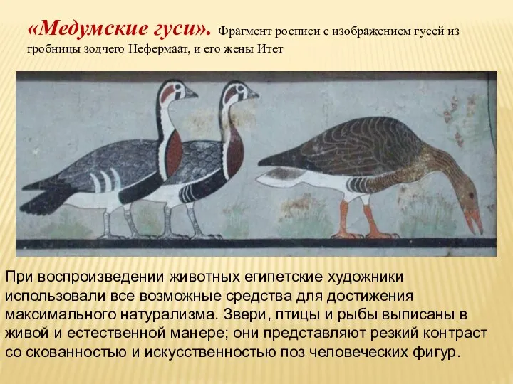 При воспроизведении животных египетские художники использовали все возможные средства для достижения