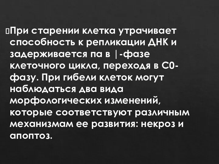 При старении клетка утрачивает способность к репликации ДНК и задерживается па