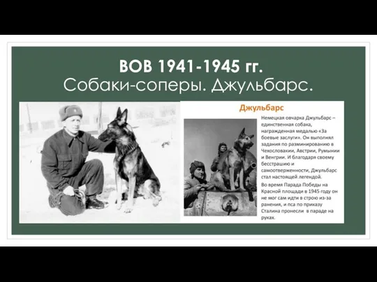 ВОВ 1941-1945 гг. Собаки-соперы. Джульбарс.