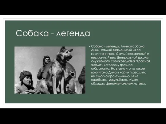 Собака - легенда Собака - легенда. Личная собака Дины, самый знаменитый