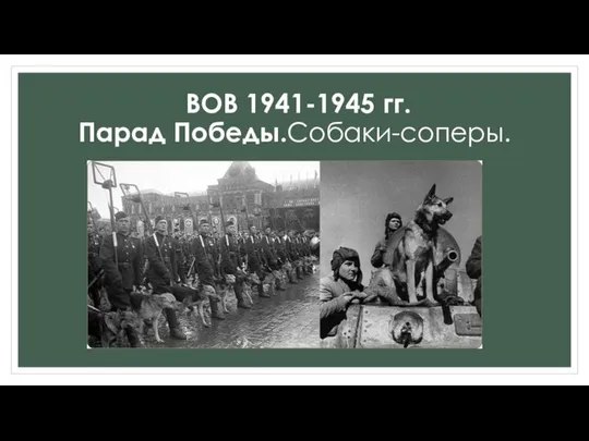 ВОВ 1941-1945 гг. Парад Победы.Собаки-соперы.