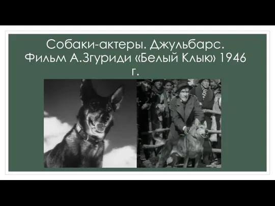 Собаки-актеры. Джульбарс. Фильм А.Згуриди «Белый Клык» 1946 г.