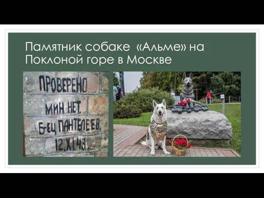 Памятник собаке «Альме» на Поклоной горе в Москве