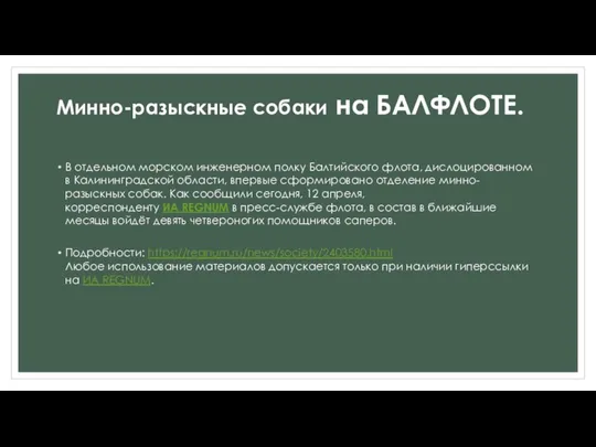 В отдельном морском инженерном полку Балтийского флота, дислоцированном в Калининградской области,