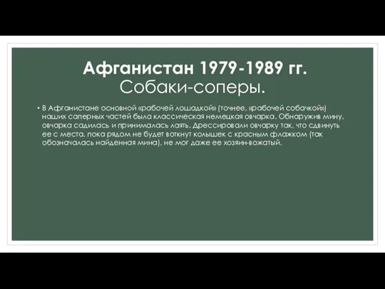 В Афганистане основной «рабочей лошадкой» (точнее, «рабочей собачкой») наших саперных частей