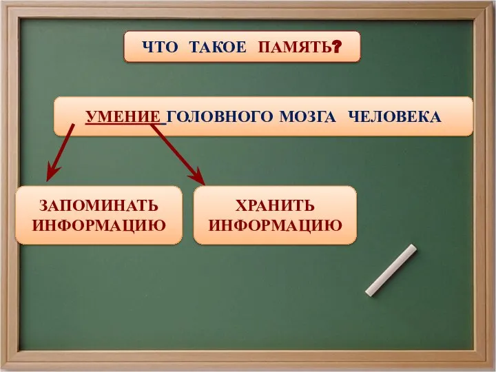 ЧТО ТАКОЕ ПАМЯТЬ? УМЕНИЕ ГОЛОВНОГО МОЗГА ЧЕЛОВЕКА ЗАПОМИНАТЬ ИНФОРМАЦИЮ ХРАНИТЬ ИНФОРМАЦИЮ