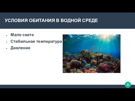 УСЛОВИЯ ОБИТАНИЯ В ВОДНОЙ СРЕДЕ Мало света Стабильная температура Давление