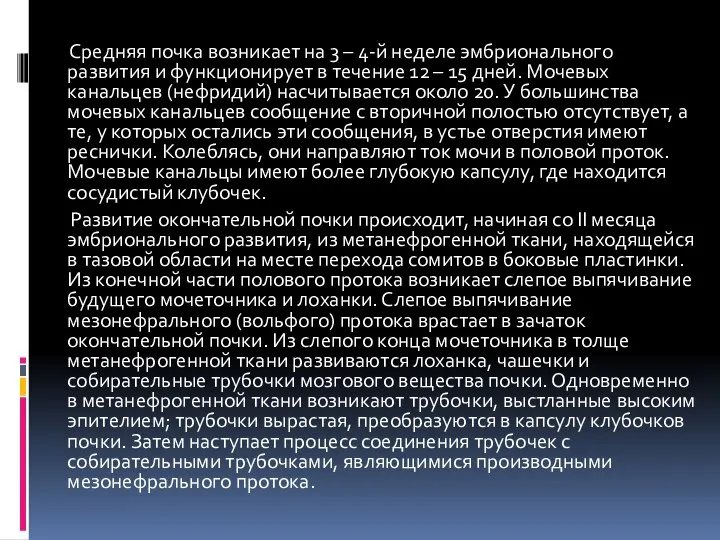 Средняя почка возникает на 3 – 4-й неделе эмбрионального развития и