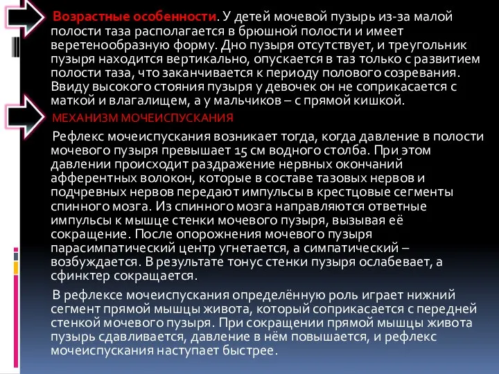 Возрастные особенности. У детей мочевой пузырь из-за малой полости таза располагается